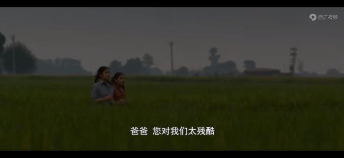 摔跤吧爸爸观后感（摔跤吧爸爸的观后感）