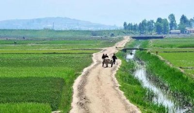 ​报复的报复(报复的心理学解释)