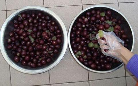 家庭自制葡萄酒保质期多久