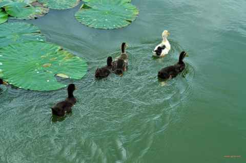 你眼中的春天是什么样子的?