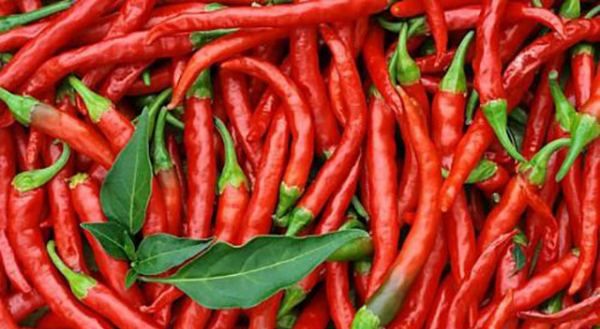 辣椒发源地是哪儿,辣椒的起源地在哪里图7