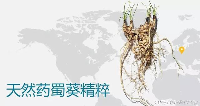 娇韵诗双萃焕活修复精华露（娇韵诗双萃赋活精华露）(26)