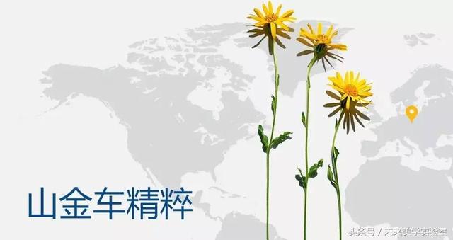 娇韵诗双萃焕活修复精华露（娇韵诗双萃赋活精华露）(20)