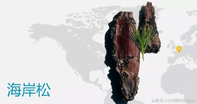 娇韵诗双萃焕活修复精华露（娇韵诗双萃赋活精华露）(18)