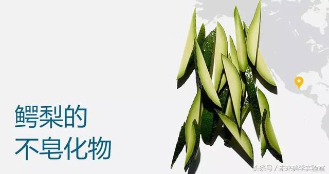 娇韵诗双萃焕活修复精华露（娇韵诗双萃赋活精华露）(17)