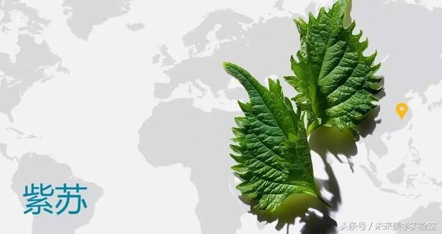 娇韵诗双萃焕活修复精华露（娇韵诗双萃赋活精华露）(24)