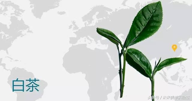 娇韵诗双萃焕活修复精华露（娇韵诗双萃赋活精华露）(21)