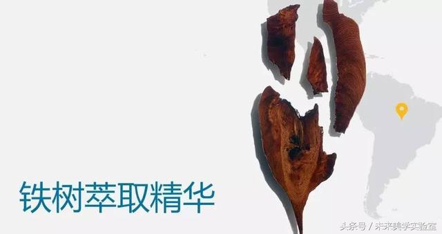 娇韵诗双萃焕活修复精华露（娇韵诗双萃赋活精华露）(14)