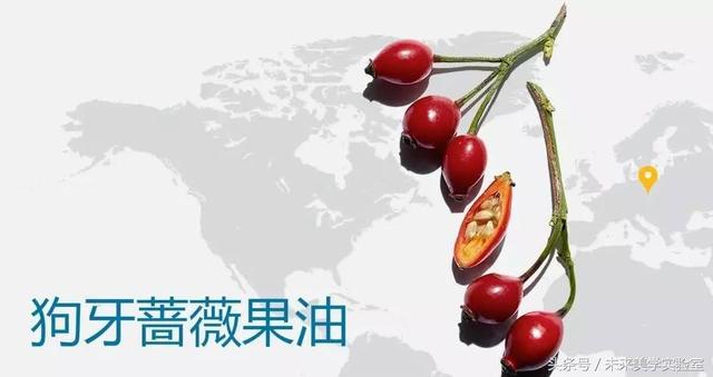 娇韵诗双萃焕活修复精华露（娇韵诗双萃赋活精华露）(19)