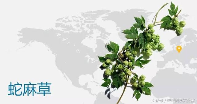 娇韵诗双萃焕活修复精华露（娇韵诗双萃赋活精华露）(16)