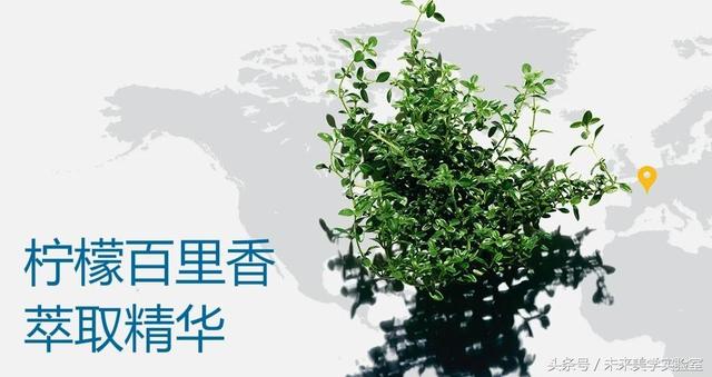 娇韵诗双萃焕活修复精华露（娇韵诗双萃赋活精华露）(13)