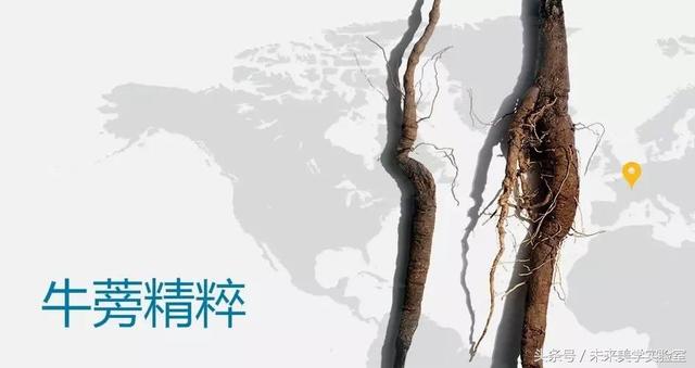 娇韵诗双萃焕活修复精华露（娇韵诗双萃赋活精华露）(27)