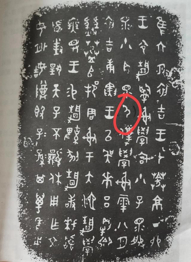 三星堆考古最新发现金面具（三星堆惊现二条尾巴的上古神兽）(12)