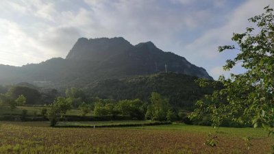 ​三星堆考古最新发现金面具（三星堆惊现二条尾巴的上古神兽）