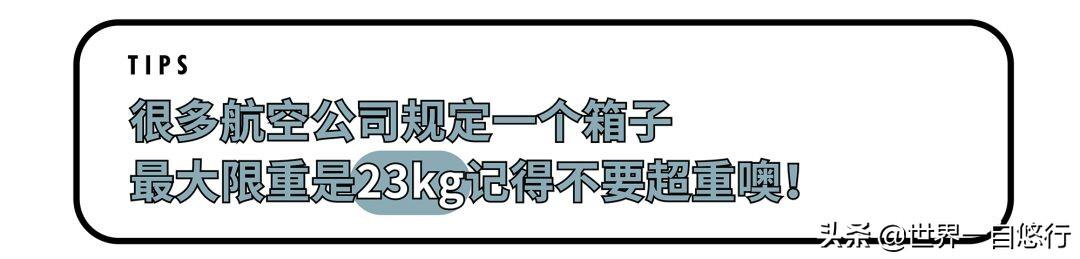 行李箱整理收纳方法（行李箱最全整理和收纳窍门）(6)