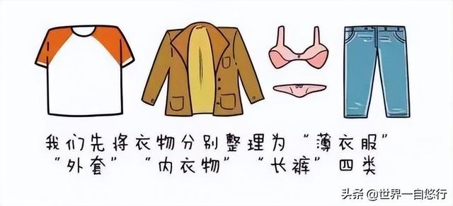 行李箱整理收纳方法（行李箱最全整理和收纳窍门）(7)