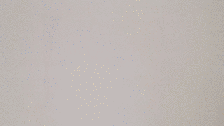 行李箱整理收纳方法（行李箱最全整理和收纳窍门）(33)