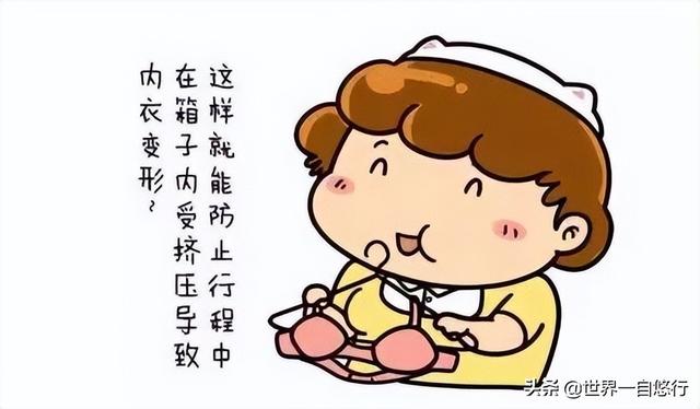 行李箱整理收纳方法（行李箱最全整理和收纳窍门）(16)