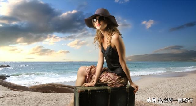 行李箱整理收纳方法（行李箱最全整理和收纳窍门）(39)