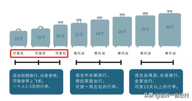 行李箱整理收纳方法（行李箱最全整理和收纳窍门）(3)