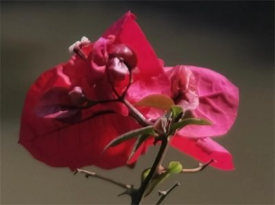 ​霍建起萧红电影原声（《萧红》电影赏析及观后感：她一生追求爱与自由，从异乡