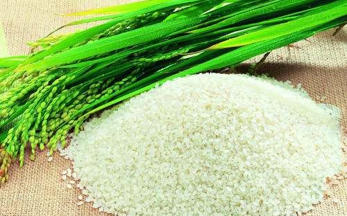 广西特产有哪些土特产零食,广西特色美食小吃有哪些图5