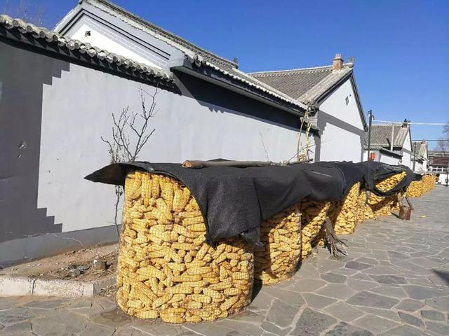 你能说贵？柳沟豆腐宴实地测评