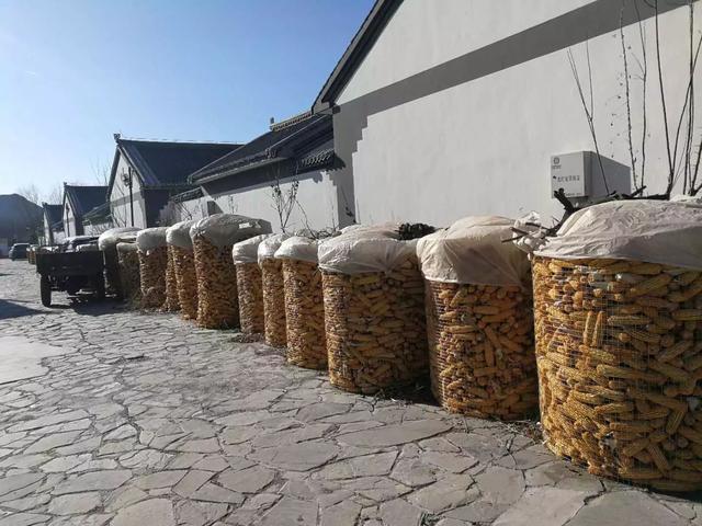 你能说贵？柳沟豆腐宴实地测评