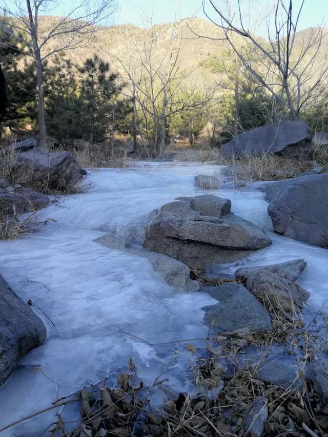 你能说贵？柳沟豆腐宴实地测评