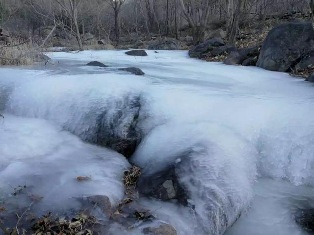 你能说贵？柳沟豆腐宴实地测评