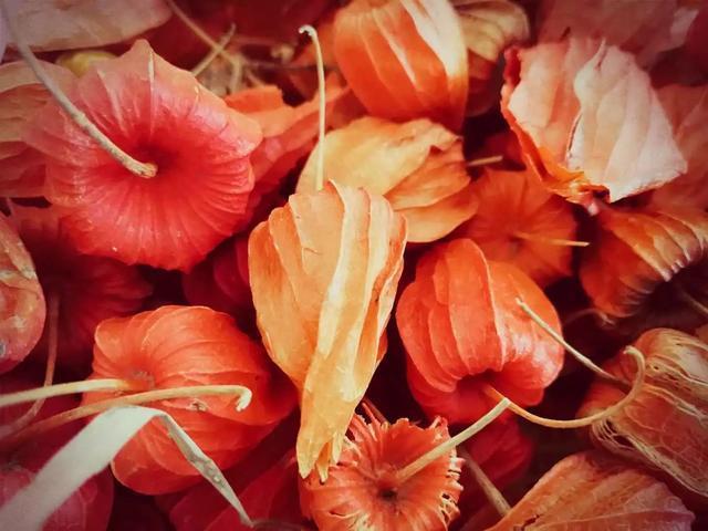 你能说贵？柳沟豆腐宴实地测评