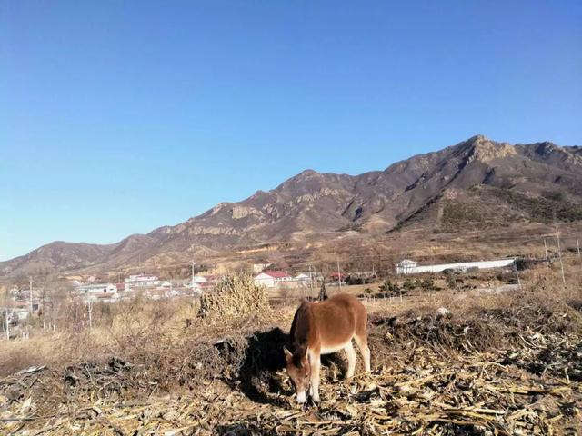 你能说贵？柳沟豆腐宴实地测评