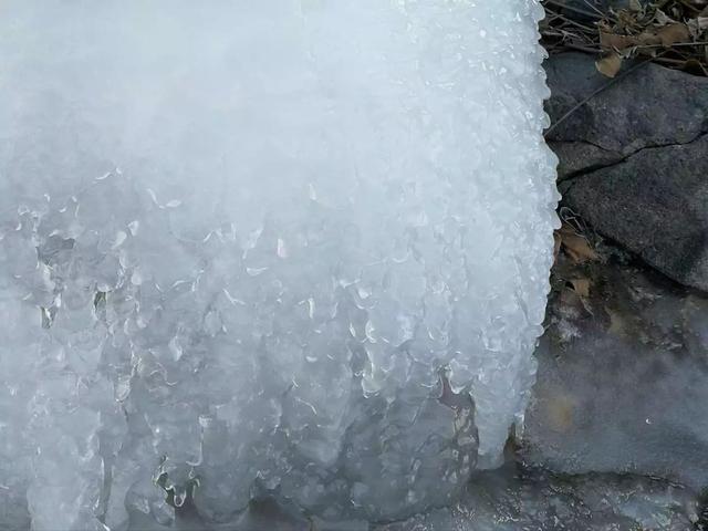 你能说贵？柳沟豆腐宴实地测评