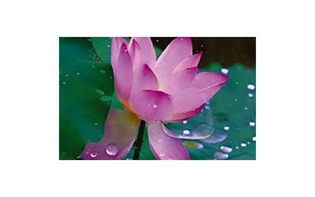 自己有对象又喜欢别人怎么办