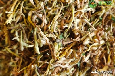 ​现在金银花市场价多少钱一斤（市场上的金银花卖多少钱一斤）