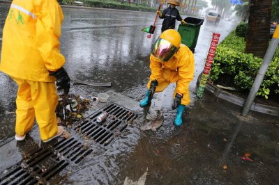 ​城市排水处都能抓到鲶鱼？其实是埃及塘虱！该生物已经泛滥成灾