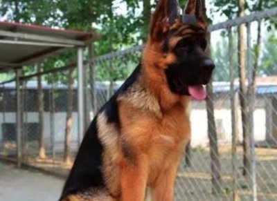 ​四脚蛇脱皮儿童用药需要多长时间才能显著改善？