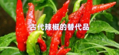 ​古代辣椒的替代品