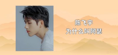 ​陈飞宇为什么叫阿瑟