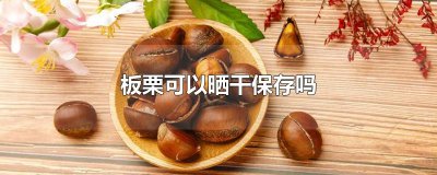 ​板栗可以晒干保存吗
