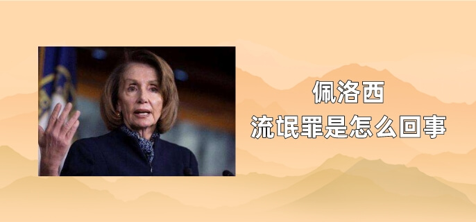 佩洛西流氓罪是怎么回事