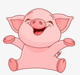 ​什么样的时光是最美好的(美好时光的语句)