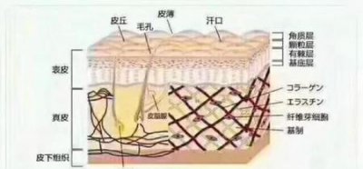 ​皮肤到底需不需要去角质(皮肤需要定期去角质吗)