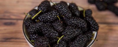 ​桑葚果酱可以存放多久