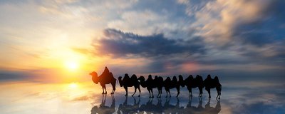 ​骆驼为什么能在沙漠中行走 骆驼为什么能在沙漠中生存呢请用自己的话概括出来