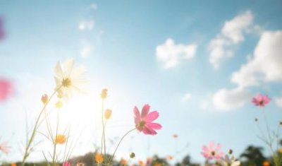 ​美式咖啡的咖啡与开水的比例是多少各种咖啡比例图