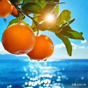 ​看看这些句子，劝劝自己，看开点，不生气！21句开心过好每一天