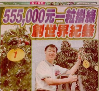 ​55万一颗的荔枝，背后是什么故事？