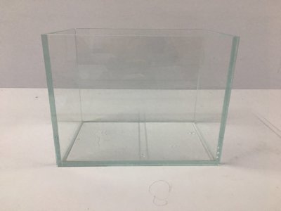 ​新手如何简单制作一个生态造景小鱼缸（入门级）