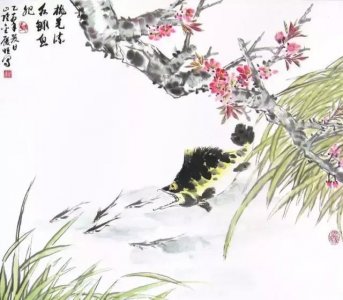 ​臭桂鱼、松鼠桂鱼、清蒸桂鱼用的桂鱼竟然是它